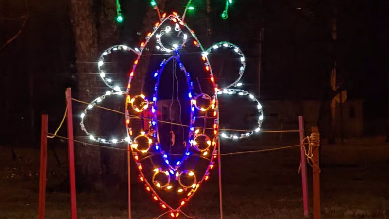 Wiggins' Park - Rome, NY