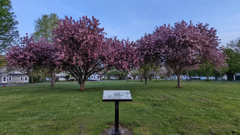 Wiggins' Park - Rome, NY