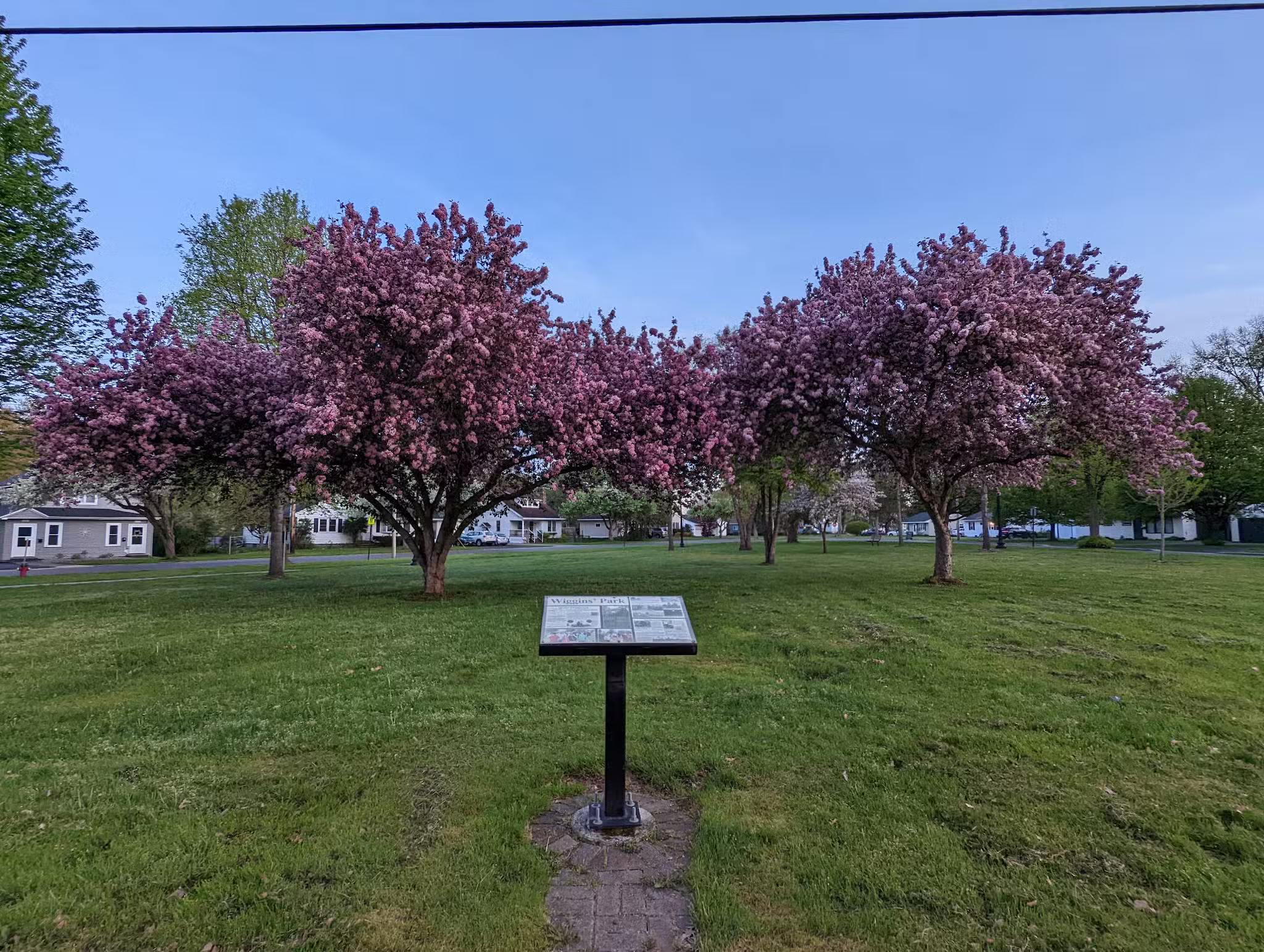 Wiggins' Park - Rome, NY