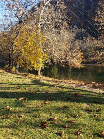 Ronceverte Dog Park - Ronceverte, WV