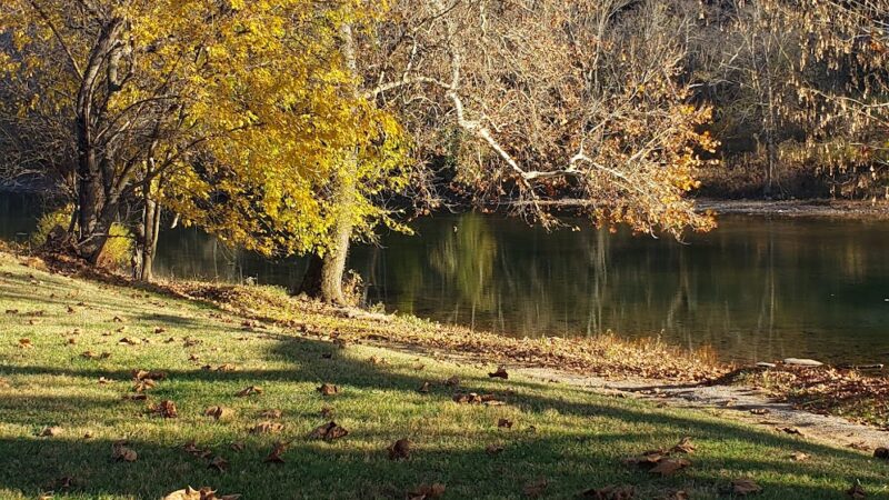Ronceverte Dog Park - Ronceverte, WV