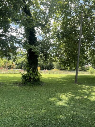 Ronceverte Dog Park - Ronceverte, WV