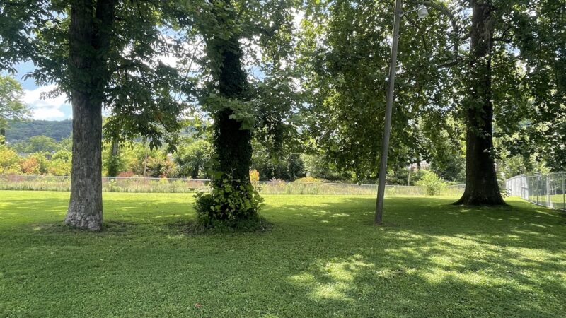 Ronceverte Dog Park - Ronceverte, WV