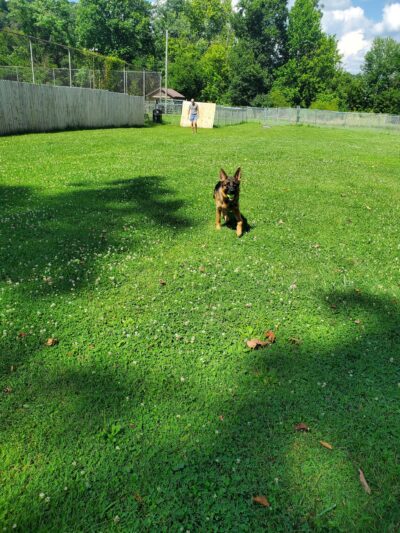 Ronceverte Dog Park - Ronceverte, WV