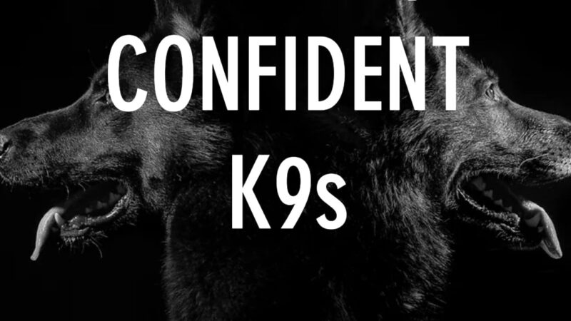 Hurricane Creek K9 - Roopville, GA