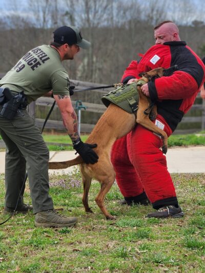 Hurricane Creek K9 - Roopville, GA