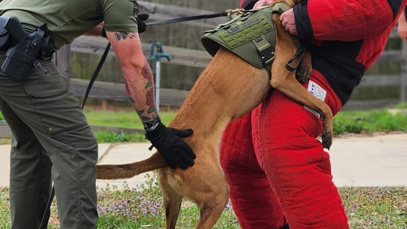 Hurricane Creek K9 - Roopville, GA