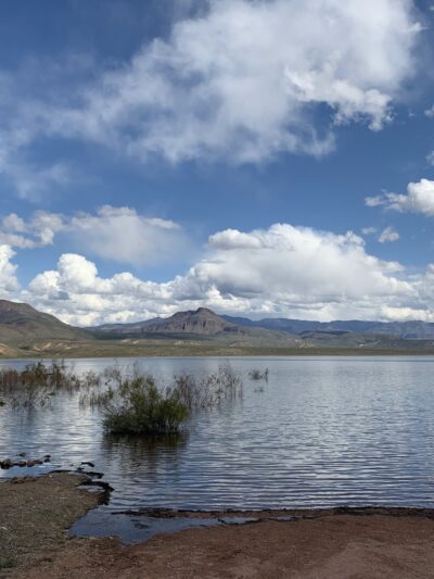 Vineyard Canyon Picnic Site - Roosevelt, AZ