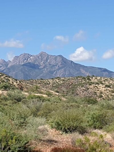Vineyard Canyon Picnic Site - Roosevelt, AZ