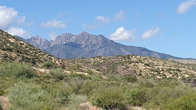 Vineyard Canyon Picnic Site - Roosevelt, AZ