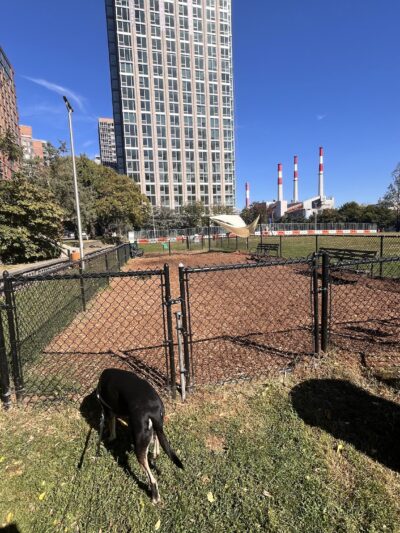 Southtown Dog Run - Roosevelt Island, NY