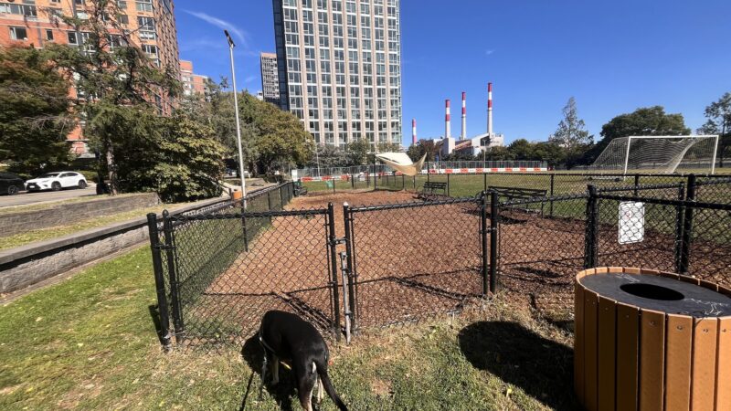 Southtown Dog Run - Roosevelt Island, NY