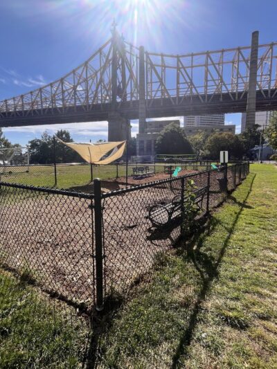 Southtown Dog Run - Roosevelt Island, NY