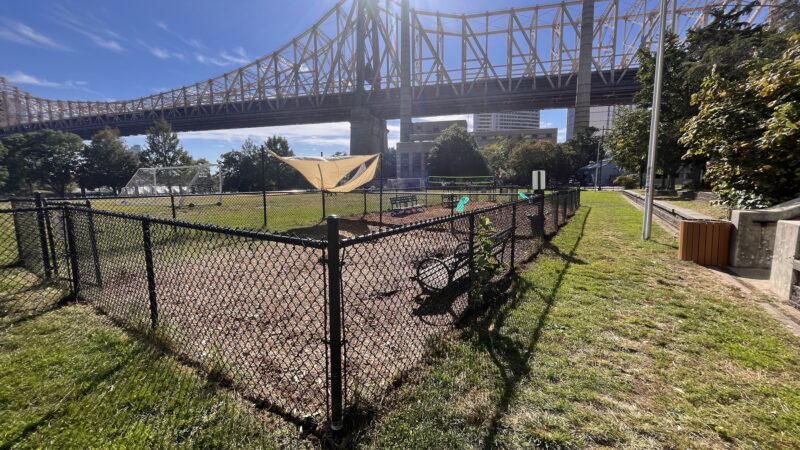 Southtown Dog Run - Roosevelt Island, NY