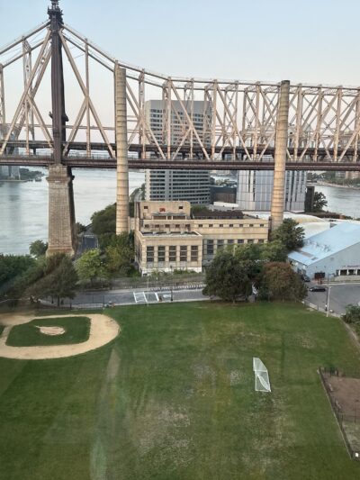 Southtown Dog Run - Roosevelt Island, NY