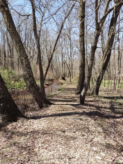 Roosevelt Woodland Trail - Roosevelt, NJ