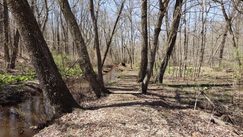 Roosevelt Woodland Trail - Roosevelt, NJ