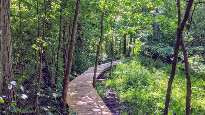 Roosevelt Woodland Trail - Roosevelt, NJ