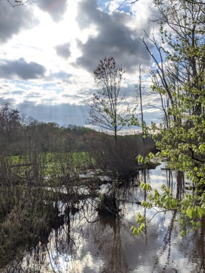 Roosevelt Woodland Trail - Roosevelt, NJ