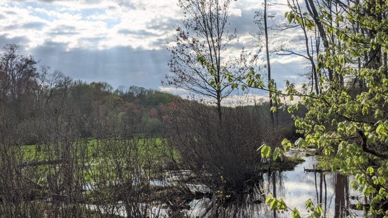 Roosevelt Woodland Trail - Roosevelt, NJ