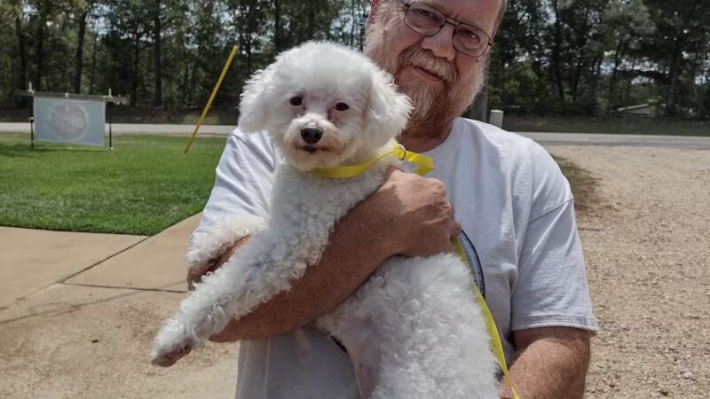 Best Friends Boarding Kennel - Rosanky, TX