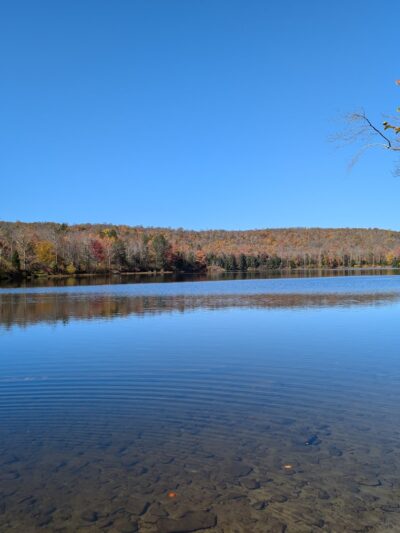 Crystal Lake Wild Forest - Roscoe, NY