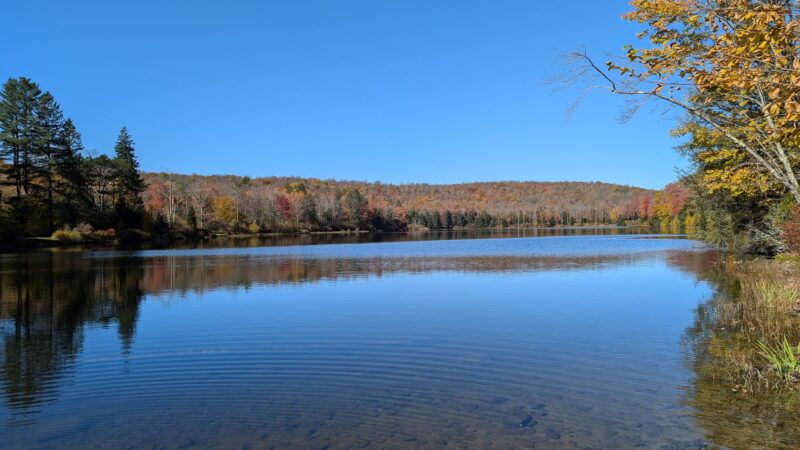 Crystal Lake Wild Forest - Roscoe, NY