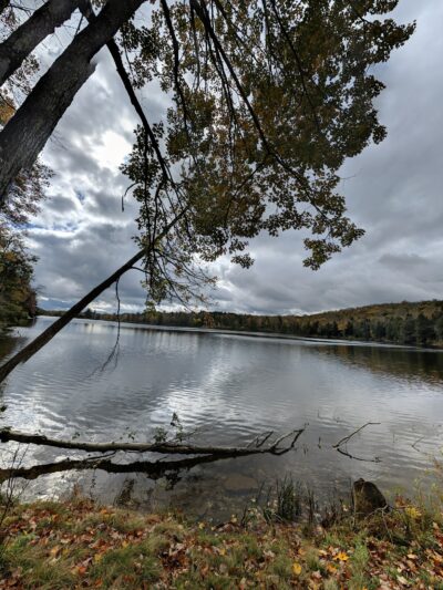 Crystal Lake Wild Forest - Roscoe, NY