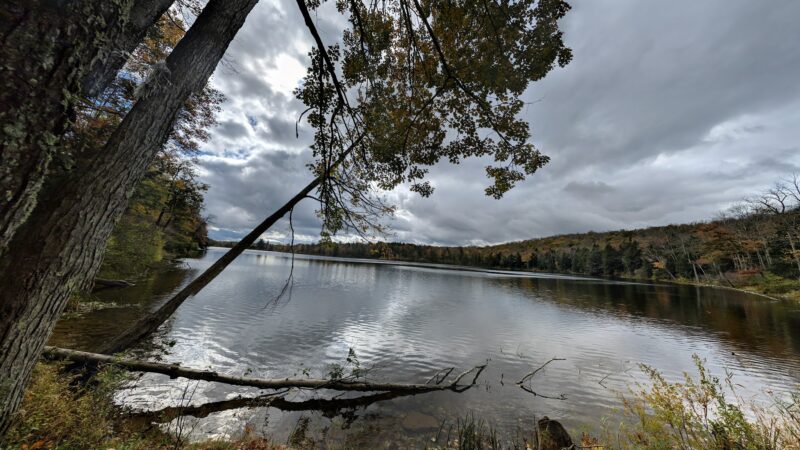Crystal Lake Wild Forest - Roscoe, NY