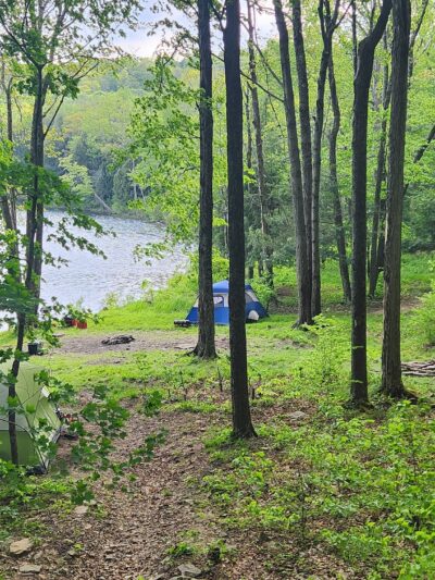 Crystal Lake Wild Forest - Roscoe, NY