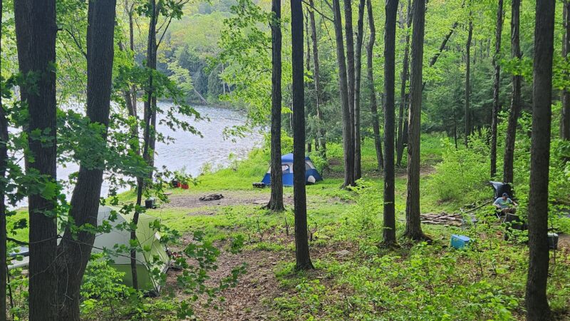 Crystal Lake Wild Forest - Roscoe, NY