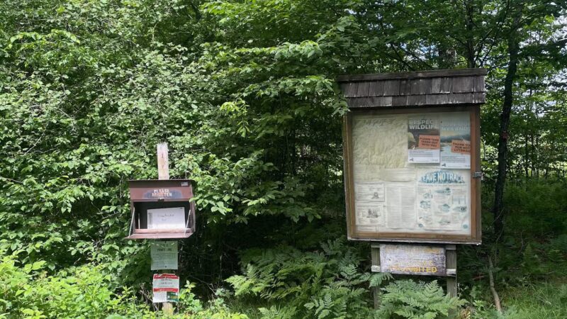 Mary Smith Trail Parking - Roscoe, NY
