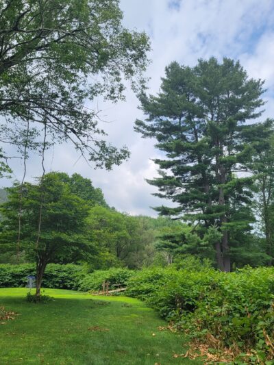 Riverside Park - Roscoe, NY