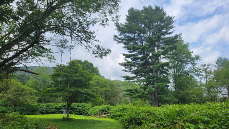 Riverside Park - Roscoe, NY