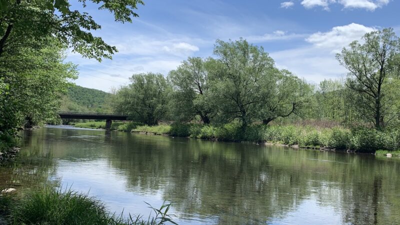 Riverside Park - Roscoe, NY