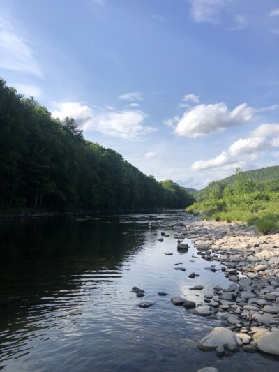 Roscoe Campsites - Roscoe, NY