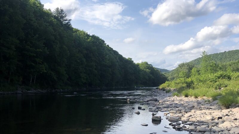 Roscoe Campsites - Roscoe, NY