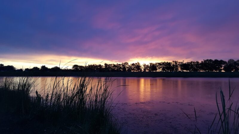 School Street Pond - Rose Hill, KS