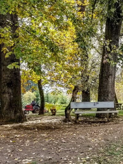 Happy Tails Dog Park - Roseburg, OR