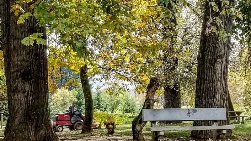 Happy Tails Dog Park - Roseburg, OR