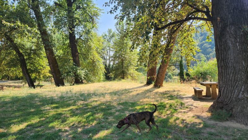 Happy Tails Dog Park - Roseburg, OR