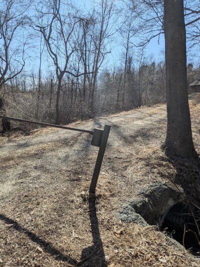 Lesesne State Forest - Roseland, VA