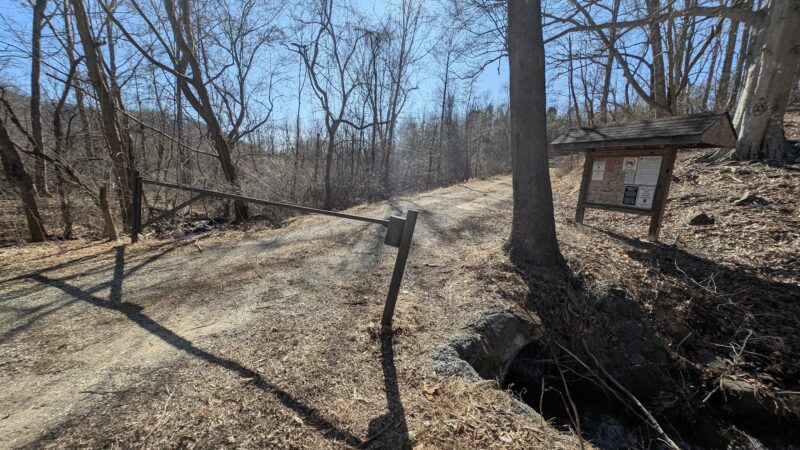 Lesesne State Forest - Roseland, VA