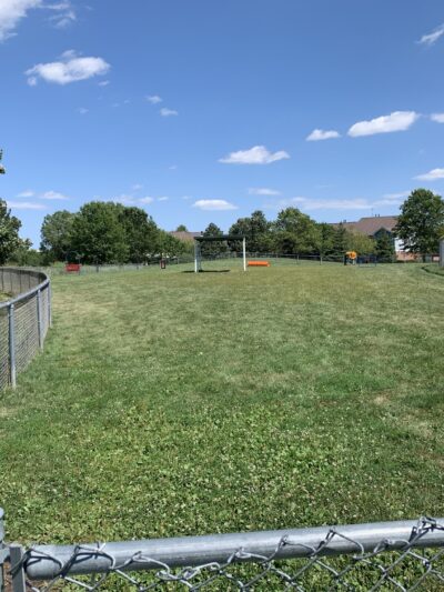Dog Park - Roselle, IL