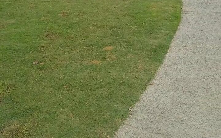 Bear Dog Park - Roseville, CA