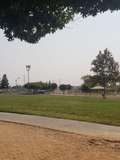 Bear Dog Park - Roseville, CA
