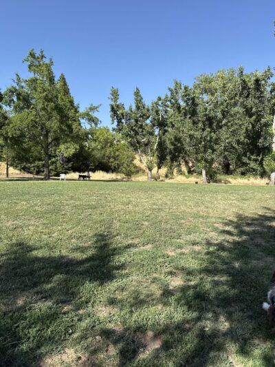 Marco Dog Park - Roseville, CA