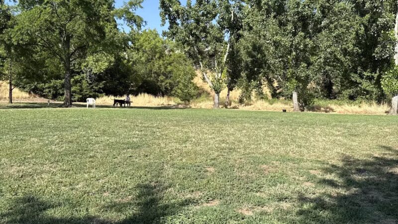 Marco Dog Park - Roseville, CA