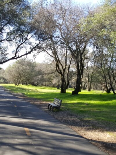 Miner's Ravine Trail Access - Roseville, CA