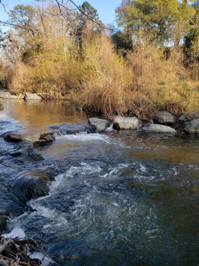 Miner's Ravine Trail Access - Roseville, CA